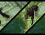 Zed – Chroma pack
