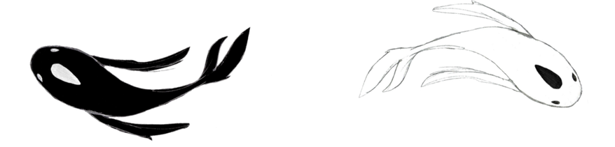Boarder.png